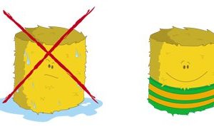 agrinet-balahalo-figyelmezteto-csik